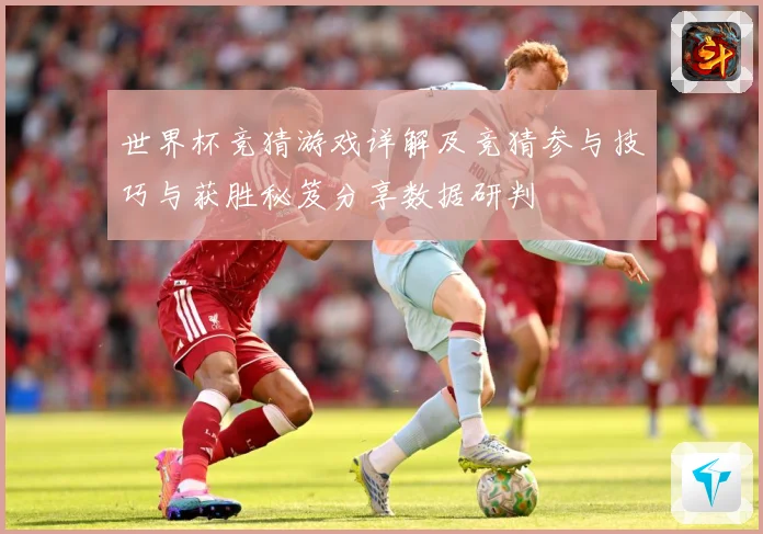 世界杯竞猜游戏详解及竞猜参与技巧与获胜秘笈分享数据研判
