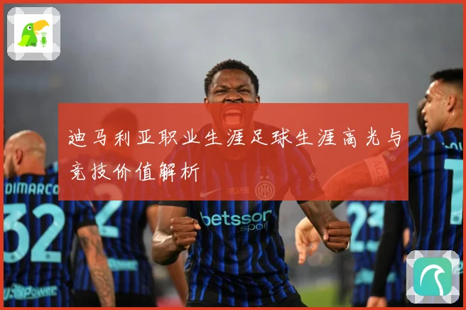 迪马利亚职业生涯足球生涯高光与竞技价值解析