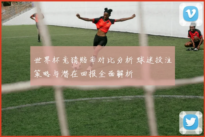 世界杯竞猜赔率对比分析 球迷投注策略与潜在回报全面解析