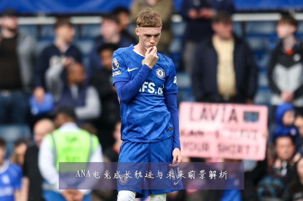 ANA电竞成长轨迹与未来前景解析