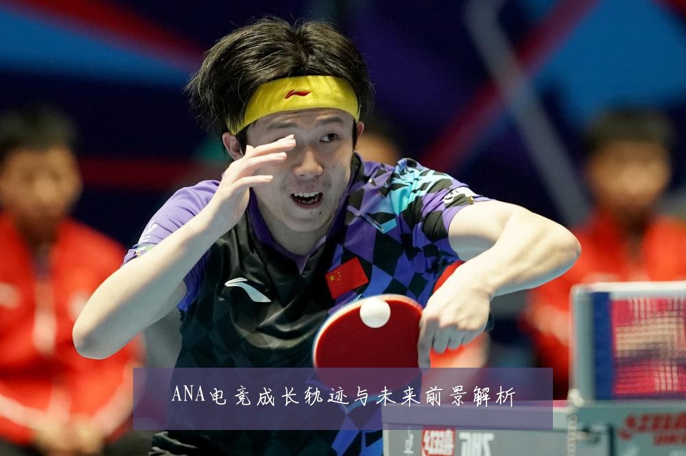 ANA电竞成长轨迹与未来前景解析