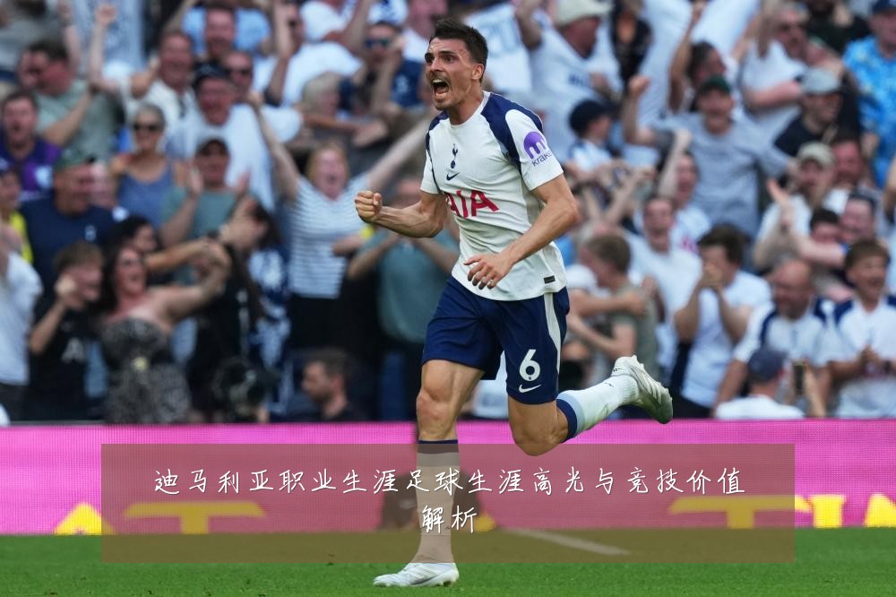 迪马利亚职业生涯足球生涯高光与竞技价值解析