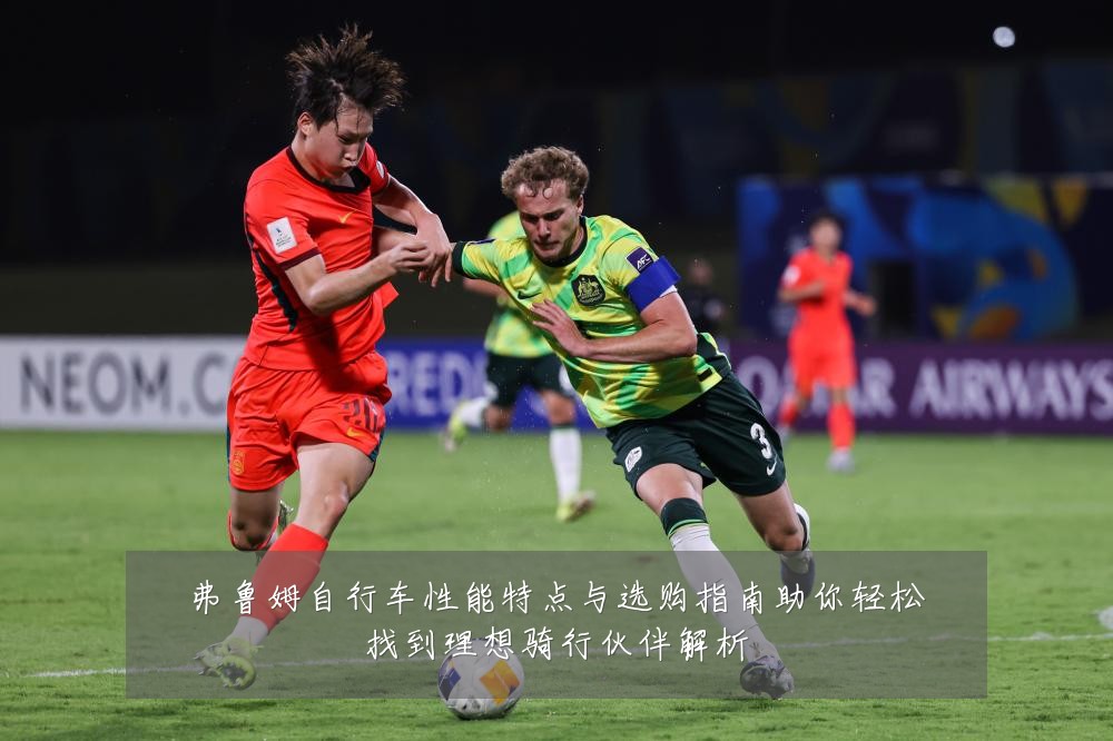 弗鲁姆自行车性能特点与选购指南助你轻松找到理想骑行伙伴解析