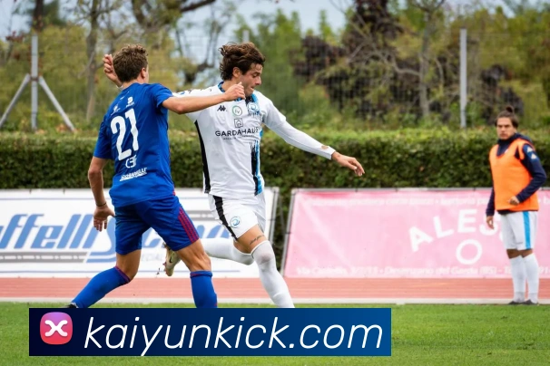 开云平台展示图