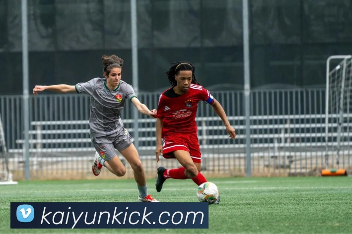 开云体育直播：全方位解析平台优势与赛事直播体验